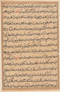 صفحة من حكايات ببغاء (توتي-ناما): صفحة نصية بواسطة فنان غير معروف
