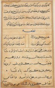 صفحة من حكايات ببغاء (توتي ناما): صفحة النص بواسطة فنان غير معروف