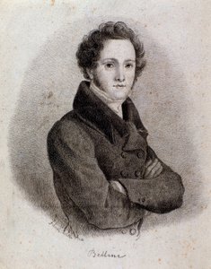 Portrait of italian composer Vincenzo Bellini (engraving. 19th century) بواسطة فنان غير معروف