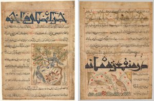 صفات Ringdoves (وجه) ؛ في فوائد السمان (الظهر) ، من الفارسي منافع الحيوان لأبي سعيد عبيد الله بن جبريل بن بختيشو (توفي 1058-1068) بواسطة فنان غير معروف