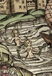 Representation of sirenes. 16th century engraving بواسطة فنان غير معروف