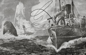 Steamers as Whalers بواسطة فنان غير معروف