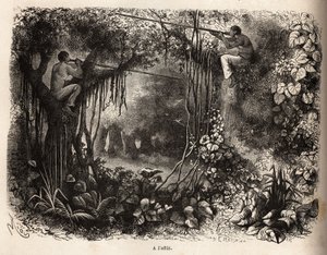 إن هنود ياهوا في بيرو يبحثون عن الطرائد والجثث في الأغصان وأسلحة السارباكان ذات السهام المسمومة. نقش لتوضيح الرحلة من المحيط الهادئ إلى L