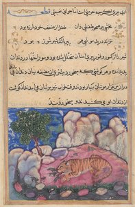 أسد منزعج من الفئران التي تأكل الطعام المحاصر في أسنانه الشيخوخة ، من Tuti-nama (حكايات ببغاء): الليلة الخامسة عشرة بواسطة فنان غير معروف