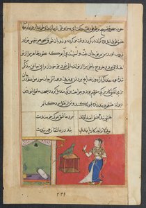يخاطب الببغاء خوجاستا في بداية الليلة السابعة والأربعين ، من توتي ناما (حكايات ببغاء): الليلة السابعة والأربعون بواسطة فنان غير معروف