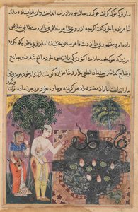 الأمير ، بعد أن حرم الثعبان من طعامه الطبيعي ، وهو ضفدع ، يطعمها بقطعة من لحمه ، من توتي ناما (حكايات ببغاء): الليلة الثامنة عشرة بواسطة فنان غير معروف