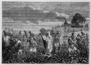 الكروم التي اقتلعت في بلاد الغال بأمر من الإمبراطور دوميتيان - في "" عجائب الصناعة "للويس فيغير ، باريس بواسطة فنان غير معروف