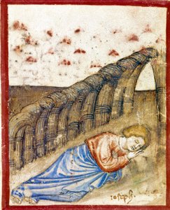 رؤية جوزيف ، ابن يعقوب المصغر مأخوذة من مجلد 212 (أو كود بادوفانو أو الكتاب المقدس لبادوا) 1390-1400 روفيغو ، أكاديميا دي كونكوردي بواسطة فنان غير معروف