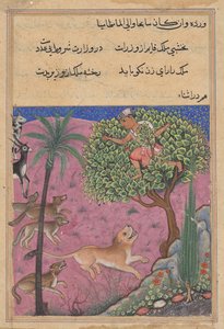 الذئب وابن آوى ، بمثابة وزراء ، يحرض الأسد الذي يلاحق البراهمان فوق شجرة ، من توتي ناما (حكايات ببغاء): الليلة الحادية والعشرون بواسطة فنان غير معروف
