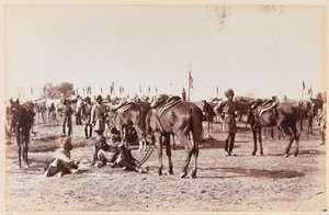 13th بواسطة غير معروف