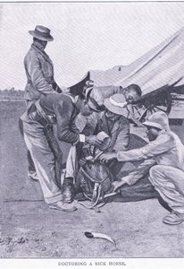 دكتوراه في الحصان المريض ، من فيلم After Pretoria: The Guerilla War الذي نشرته شركة Harmsworth Bros Limited بواسطة مصور غير معروف