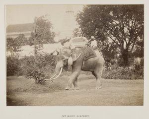 صورة في ألبوم الصور بواسطة مصور غير معروف