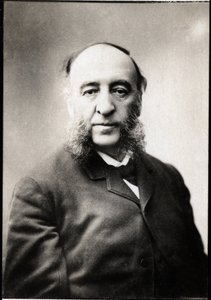 صورة لجول فيري (1832-1893) ، رجل دولة فرنسي. بواسطة مصور غير معروف
