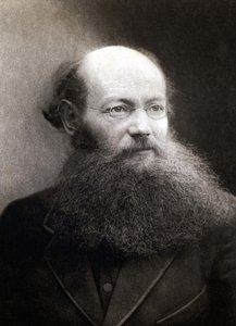 صورة للأمير بيتر (بيوتر) ألكسيفيتش كروبوتكين (1842-1921) ، ثوري روسي وفوضوي. بواسطة مصور غير معروف