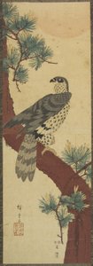 (صقر على فرع باين ، الصيف) ، سبتمبر 1853
