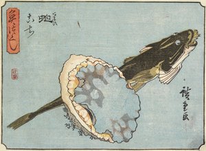 أذن البحر وفلاتهيد ، 1830-1844