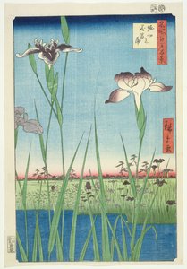 BM.Cat.440 القزحيات في Horikin ، رقم 56 في سلسلة &39;100 Views of Edo&39; ، (&39;Meisho Edo hyakkei&39;) ، حانة. 1857 ، (طباعة لوح خشبي ملون)