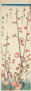 ازدهار فروع البرقوق بواسطة Utagawa Hiroshige