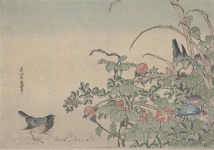 بلوبيردز مع مورنينج جلوريز وليسبيديزا ، c.1833