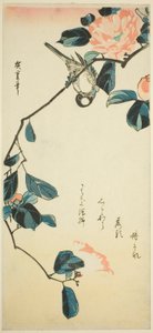 Bullfinch على فرع الكاميليا بواسطة Utagawa Hiroshige