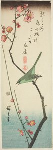 الدخلة بوش على فرع البرقوق بواسطة Utagawa Hiroshige