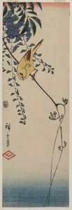 الكناري والستارية بواسطة Utagawa Hiroshige