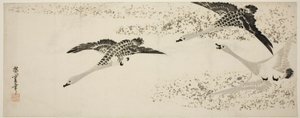 تنازلي الأوز بواسطة Utagawa Hiroshige