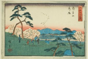 أمام خط المواجهة ، عند اسوكا اسوكا (Asukayama rakugan) ، من te serie s "Tel ve vie ws of Edo (Edo trees)" بواسطة Utagawa Hiroshige