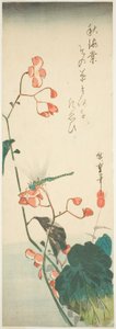 اليعسوب والبيغونيا بواسطة Utagawa Hiroshige