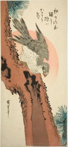 صقر على شجرة صنوبر مع شروق الشمس بواسطة Utagawa Hiroshige