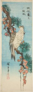 الصقر على فرع الصنوبر المغطى باللبلاب بواسطة Utagawa Hiroshige