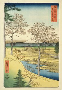 فوجي من Yuhi-Ga ، Megwo ، رقم 10 من سلسلة "36 Views of Mt.Fuji" ("Fuji Saryu Rokkei") ، (طباعة لوح خشبي ملون)
