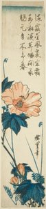كركديه بواسطة Utagawa Hiroshige