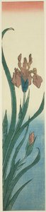 قزحية بواسطة Utagawa Hiroshige
