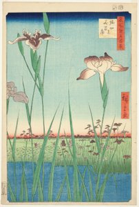 Irises at Horikiri (Horikiri no hanashobu) ، من سلسلة "مائة منظر مشهور لإيدو (ميشو إيدو هياكي)" بواسطة Utagawa Hiroshige