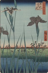 Irises of Horikiri ، من سلسلة مائة منظر مشهور لإيدو بواسطة Utagawa Hiroshige