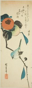 عين بيضاء يابانية وكاكي بواسطة Utagawa Hiroshige