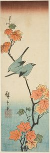 عيون يابانية بيضاء على فرع القيقب بواسطة Utagawa Hiroshige