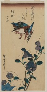 الرفراف وزهور الجرس الصينية بواسطة Utagawa Hiroshige