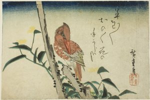 الرفراف وزهرة النهار بواسطة Utagawa Hiroshige