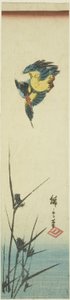 الرفراف والقصب بواسطة Utagawa Hiroshige