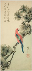 الببغاء على فرع الصنوبر بواسطة Utagawa Hiroshige