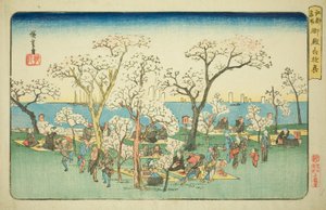 المرح في Goten Hill (Gotenyama yukyo) ، من سلسلة "الأماكن الشهيرة في Edo (Koto Meisho)" بواسطة Utagawa Hiroshige