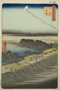 Nihon Embankment ، Yoshiwara (Yoshiwara Nihonzutsumi) ، من سلسلة "مائة منظر مشهور لإيدو (ميشو إيدو هياكي)" بواسطة Utagawa Hiroshige