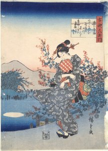 نوجي: شي x تاماريرز بواسطة Utagawa Hiroshige