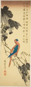 ببغاء على كرمة بواسطة Utagawa Hiroshige