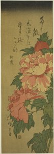 الفاونيا بواسطة Utagawa Hiroshige