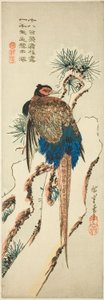 الدراج على شجرة صنوبر مغطاة بالثلوج بواسطة Utagawa Hiroshige