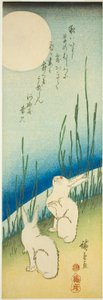 الأرانب تحت البدر بواسطة Utagawa Hiroshige