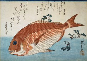 إبريم البحر الأحمر ، 1832-1834. بواسطة Utagawa Hiroshige